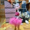 Mattel Куклы Monster high / Монстр Хай фото