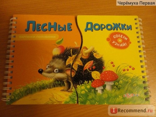 Книжка Лесные дорожки Азбукварик