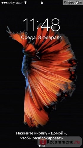 Мобильный телефон Apple iPhone 7 фото