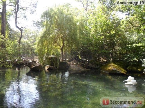 Воронцовский дворец в Алупке. Крым фото