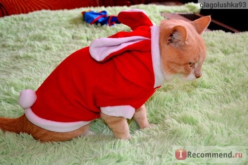 Одежда для собак Aliexpress 2015 New Pet Dog Cat Cute Bunny Clothes Warm Clothes Autumn Winter Puppy Costumes Apparel Christmas Gift фото