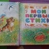 Вот некоторые фрагменты из книги