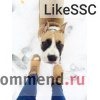 Корм для собак Purina Pro plan puppy sensitive фото