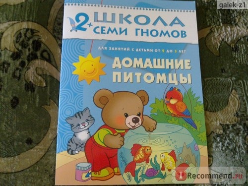 Школа семи гномов 2+ 