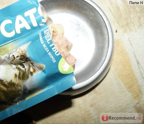 All Cats food фото