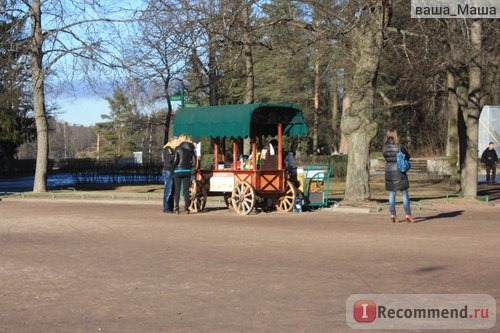 Россия, Павловский парк фото