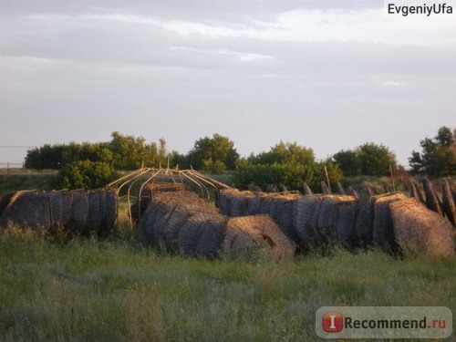 Соль-Илецк, Россия фото