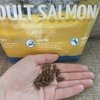 Brit Premium Cat Adult Salmon