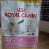 Корм для кошек Royal Canin Mother & Babycat фото