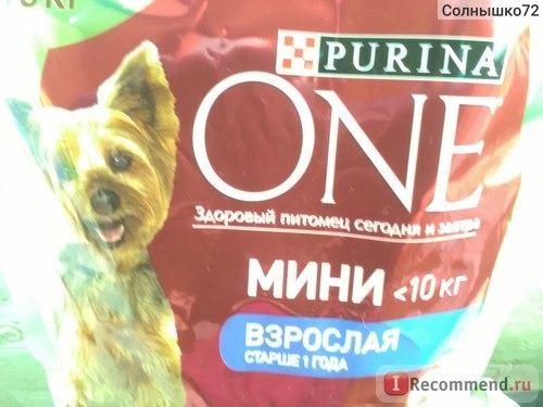 Корм для собак Purina ONE® Моя Собака уже взрослая. Для маленьких собак от 1-10 кг. фото