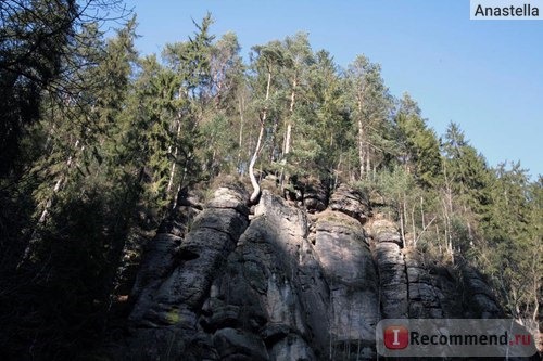 Национальный парк Чешская Швейцария. 