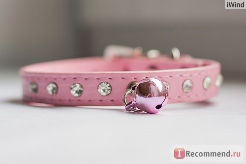 Ошейник Aliexpress Free shipping Personalized Spiked Studded Soft Leather Cat Puppy Dog Collars Pet Products фото