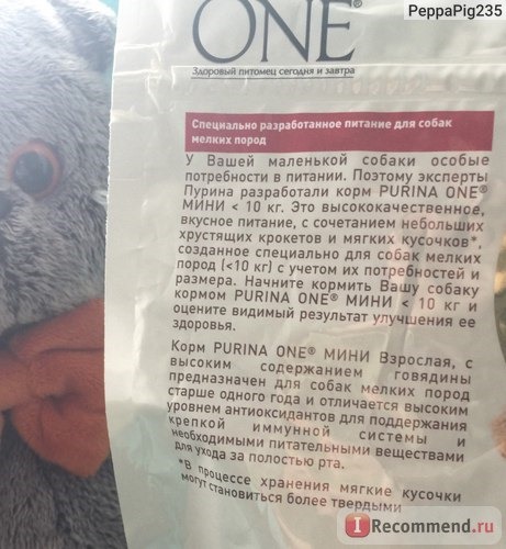 Корм для собак Purina ONE® Моя Собака уже взрослая. Для маленьких собак от 1-10 кг. фото