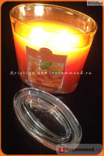 Ароматическая свеча Colonial Candle Oval Jar Candle, Mango Salsa фото