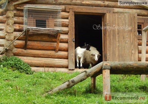 Вежа Ведмежа 4*, Украина, с.Волосянка фото