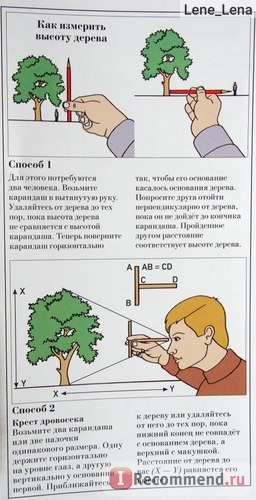 Большая книга о лесах и деревьях. Рене Меттле фото