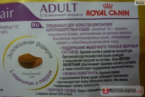 Royal Canin для Британцев фото