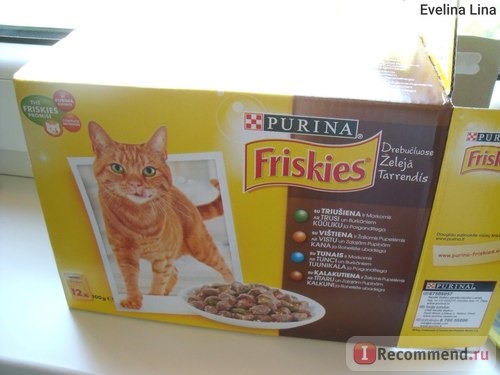 Консервированный корм для кошек Friskies фото