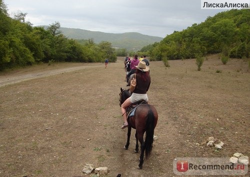 Россия, с. Дивноморское, Черное море фото