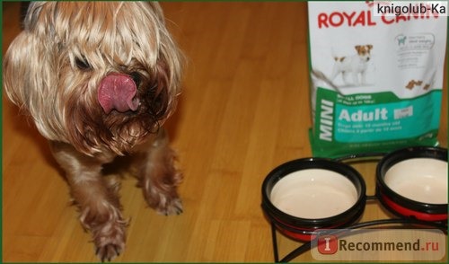 Royal canin Mini Adult фото