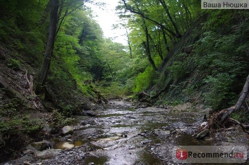 Небуг, Черное море, Краснодарский край фото