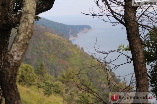 Россия, Краснодарский край, хутор Джанхот фото