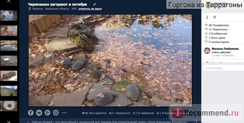 Сайт lookmytrips.com фото