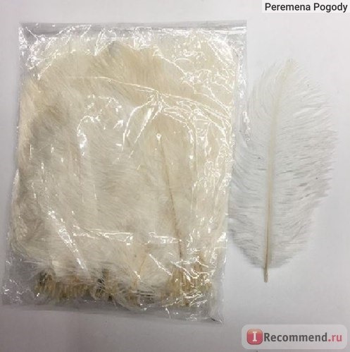 Перо страуса Aliexpress Ostrich Feather Wedding Decoration Party Plumage White фото