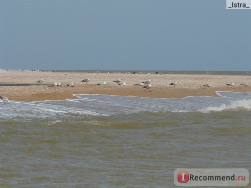 Краснодарский край,ст Должанская,коса Долгая фото