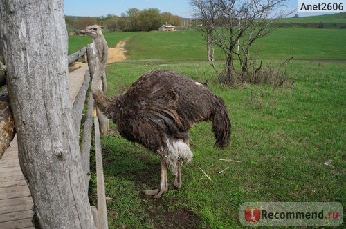 Сафари-парк 