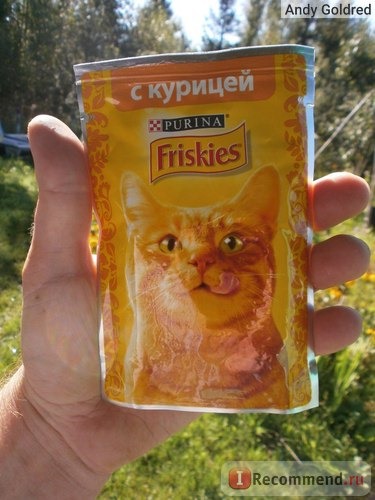 Фрискис курица Friskies с курицей