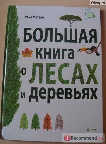 Большая книга о лесах и деревьях. Рене Меттле фото