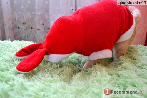 Одежда для собак Aliexpress 2015 New Pet Dog Cat Cute Bunny Clothes Warm Clothes Autumn Winter Puppy Costumes Apparel Christmas Gift фото