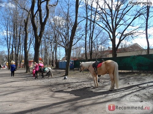 Выборг (Россия) фото