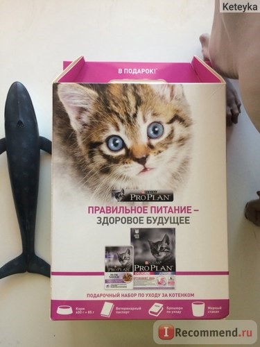 Корм для кошек Purina PRO PLAN Junior Delicate / сухой корм для котят с индейкой и рисом фото