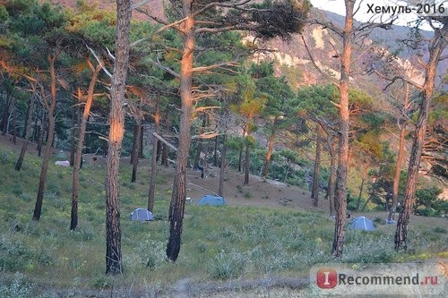 Поляна с палатками