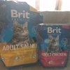 Brit Premium Cat