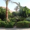 Dessole Pyramisa Sahl Hasheesh 5*, Египет, Хургада фото