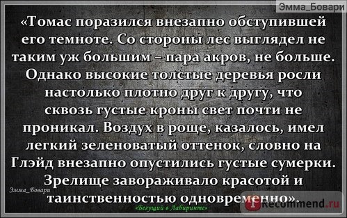 «Бегущий в Лабиринте. Испытание огнем. Лекарство от смерти» Джэймс Дэшнер