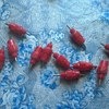 Поилка Aliexpress Boutique Red 10 Pack Fowl Water Nipple Drinker Chicken Feeder Poultry Hen Screw In Style фото