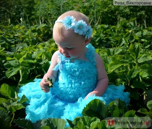 Комплект AliExpress Chiffon top + skirt set,baby pettiskirt, tutu top, Girls Tutu Skirt FREE SHIPPING фото