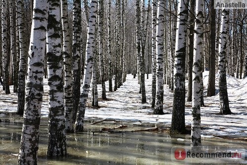 Оригинал фото