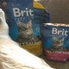 Brit Premium Cat