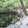 Воронцовский дворец в Алупке. Крым фото