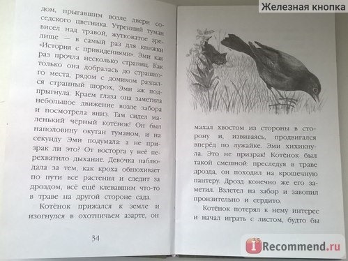 Котёнок Дымка, или Тайна домика на дереве. Холли Вебб фото