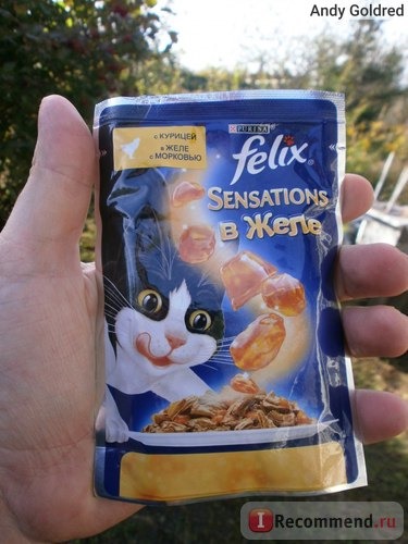 Корм для кошек Felix Sensations желе курица с морковью отзывы