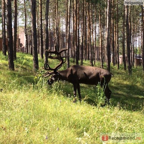 База отдыха Радуга п.Прибрежный, Россия, Самара фото