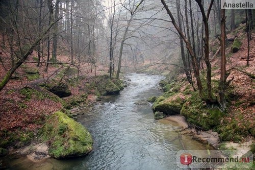 Национальный парк Чешская Швейцария. 