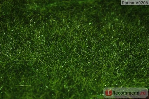 Декоративный элемент Газон Aliexpress 2015 new Creative Micro Landscape Fake Moss Emulation Lawn Grass Garden Stakes Decoration фото