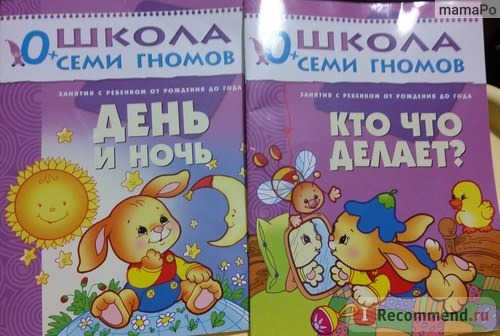 Школа семи гномов - Первый год. Дарья Денисова фото